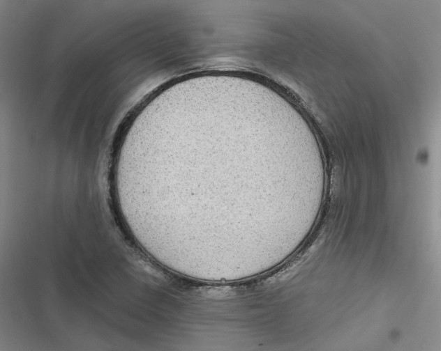 X0000116891410201001121334