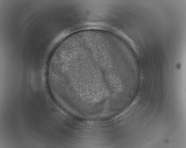 X0000116891411201001121334