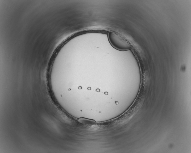 X0000116891412201001121334