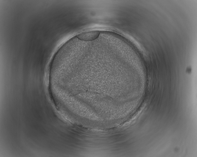 X0000116891413201001121334