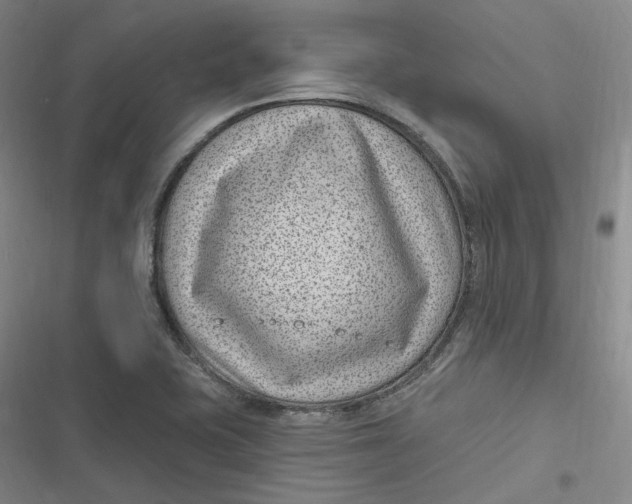 X0000116891415201001121334