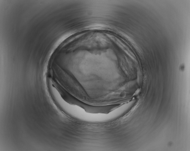 X0000116891418201001121334