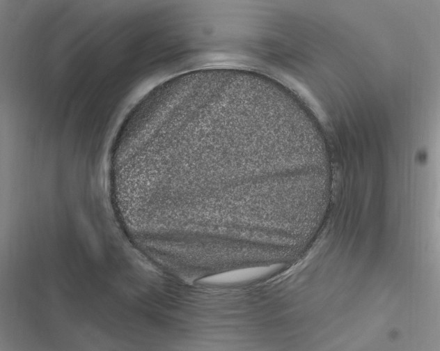 X0000116891419201001121334
