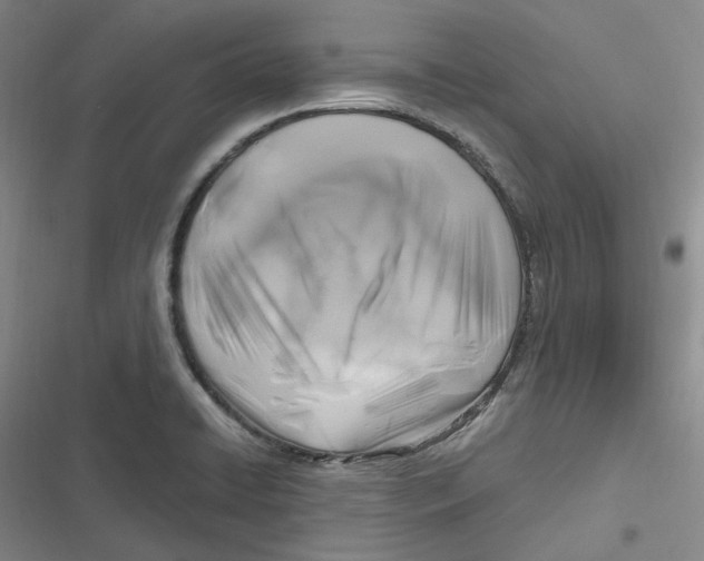 X0000116891422201001121334