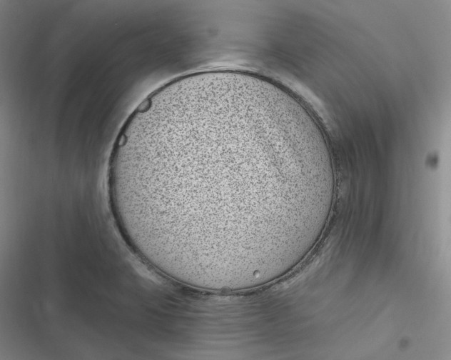 X0000116891423201001121334