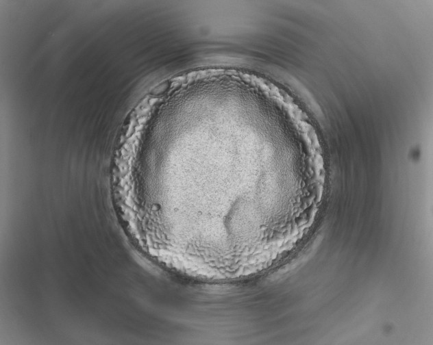 X0000116891425201001121334