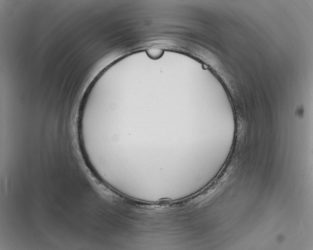 X0000116891426201001121334