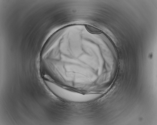 X0000116891428201001121334
