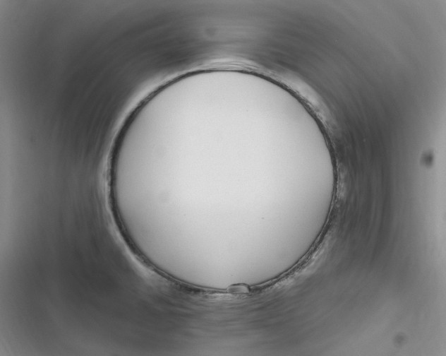 X0000116891430201001121334