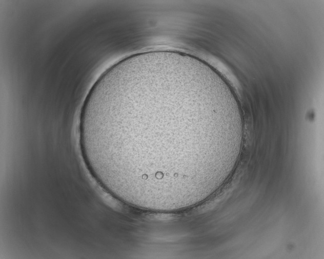 X0000116891431201001121334