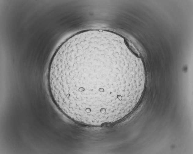 X0000116891432201001121334