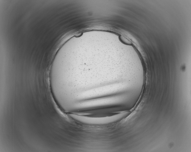 X0000116891433201001121334