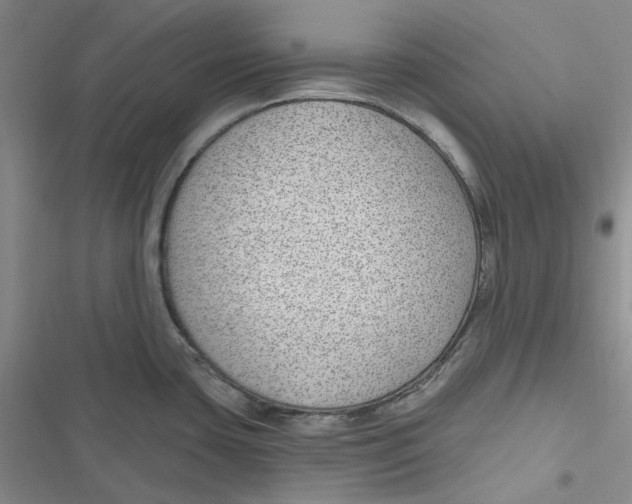 X0000116891435201001121334