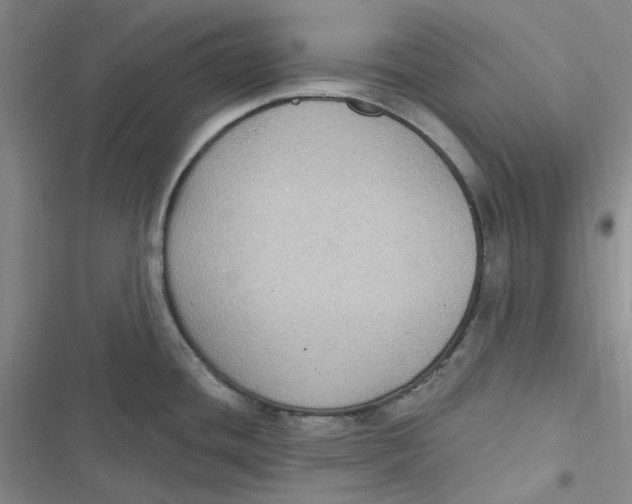 X0000116891436201001121334