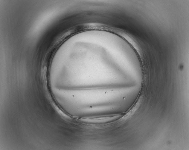 X0000116891438201001121334