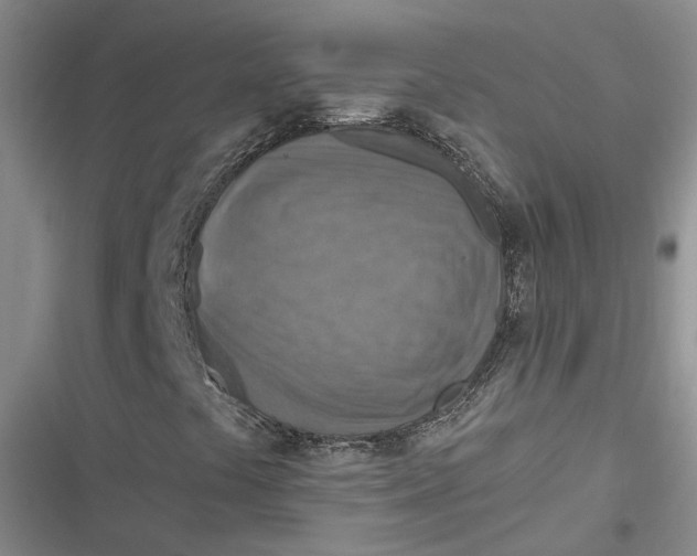 X0000116891441201001121333