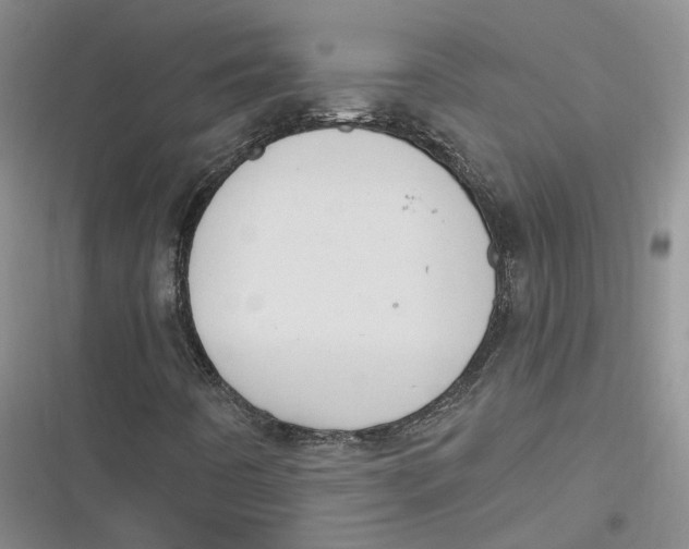 X0000116891442201001121333
