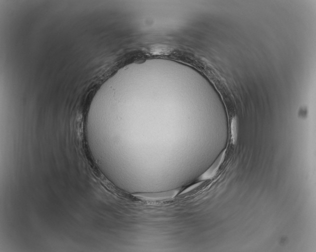 X0000116891443201001121333