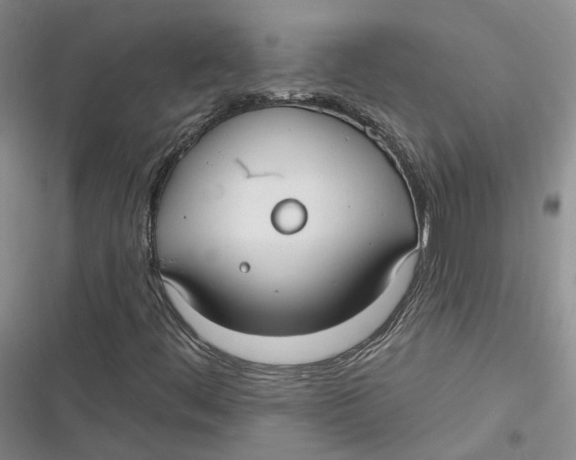 X0000116891444201001121333