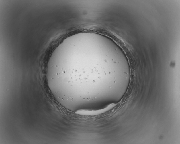 X0000116891447201001121333