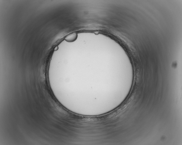 X0000116891451201001121333