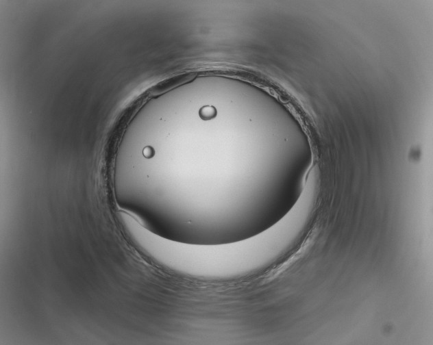 X0000116891453201001121333