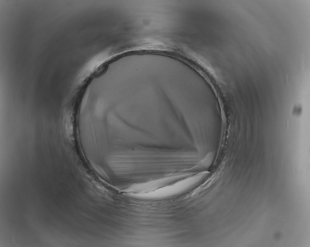 X0000116891455201001121333