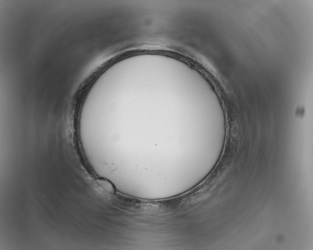 X0000116891456201001121333