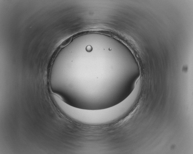 X0000116891457201001121333