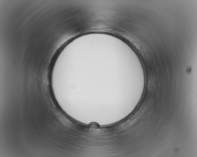 X0000116891458201001121333