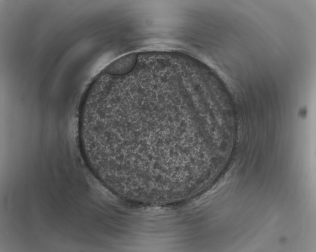 X0000116891459201001121333