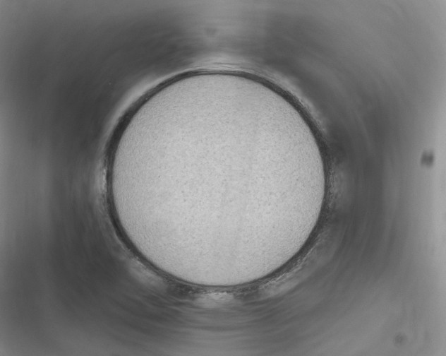 X0000116891462201001121333