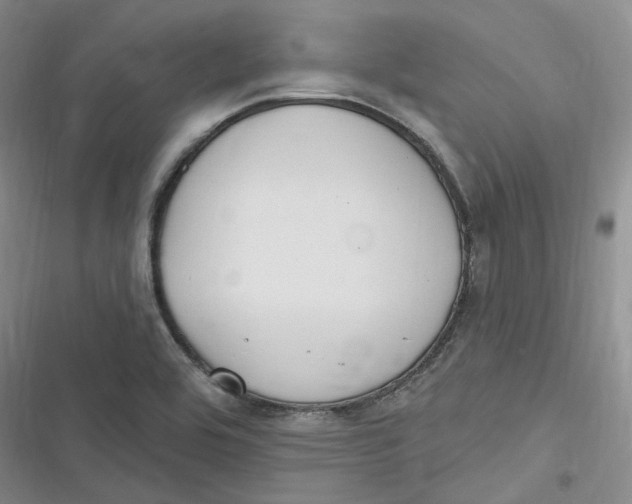 X0000116891464201001121333