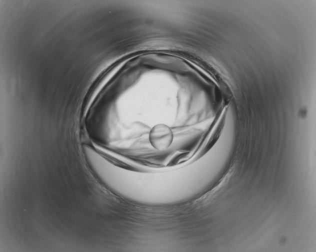 X0000116891465201001121333