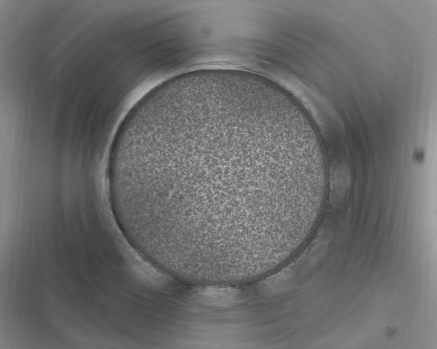 X0000116891466201001121333