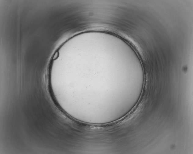 X0000116891467201001121333