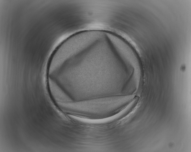 X0000116891469201001121333
