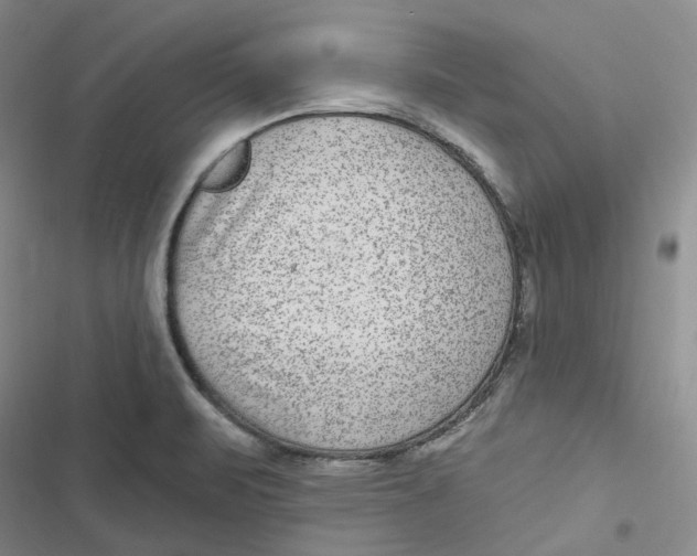 X0000116891471201001121333