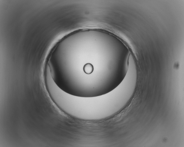 X0000116891472201001121333