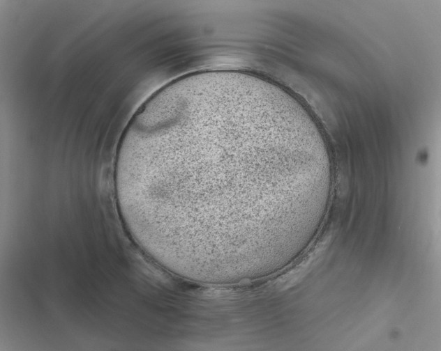 X0000116891473201001121333