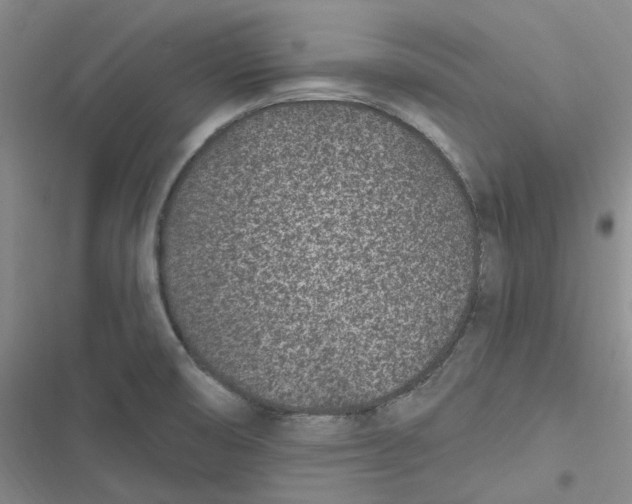 X0000116891474201001121333