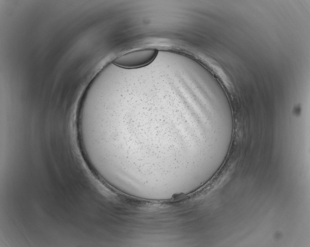 X0000116891475201001121333