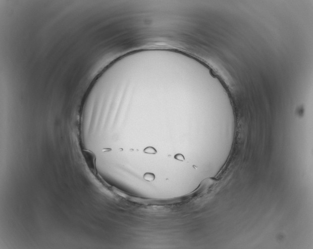 X0000116891476201001121333