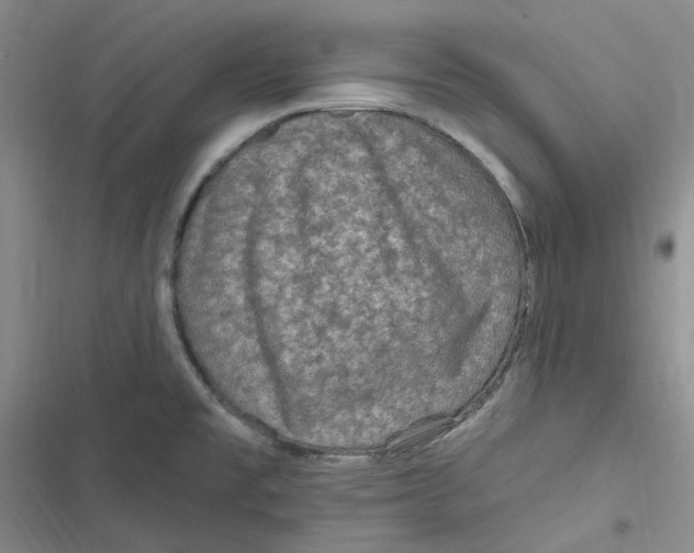 X0000116891477201001121333