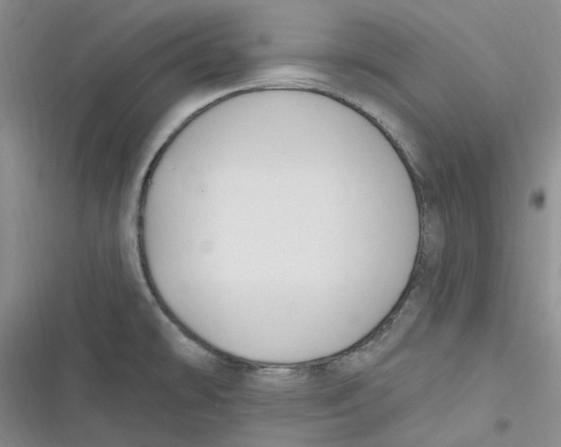 X0000116891478201001121333