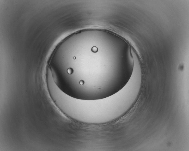 X0000116891480201001121333