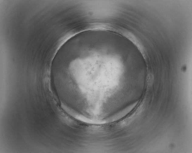 X0000116891481201001121333