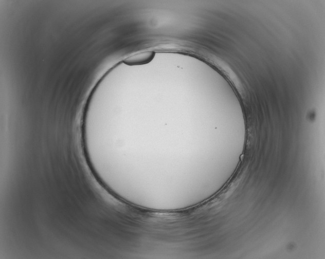 X0000116891483201001121333