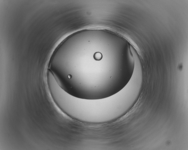 X0000116891484201001121333