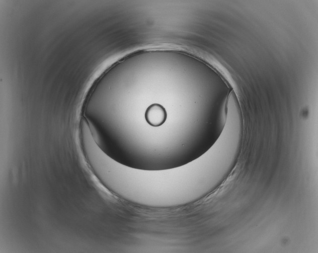 X0000116891485201001121333